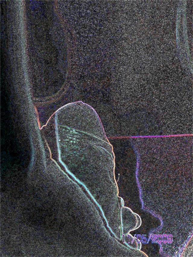 parasex29