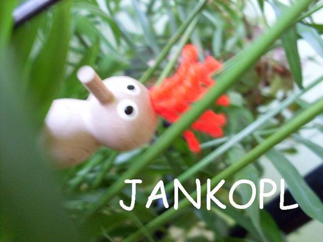 JankoPL