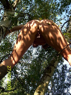 100_2750.jpg