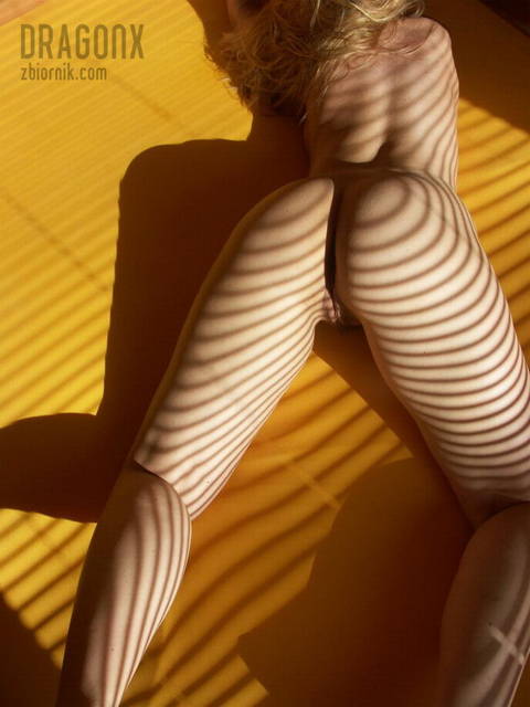 Stripes - dragonx