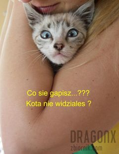 Ona i Kot