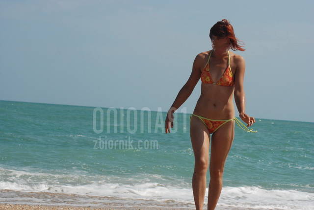 oniona0003.JPG - oniona81