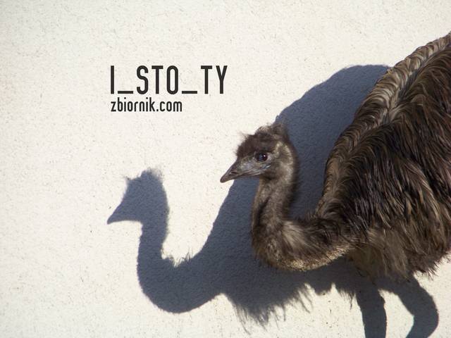 i_sto_ty