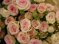 DSC06712.JPG