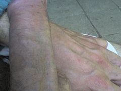 DSC07826.JPG