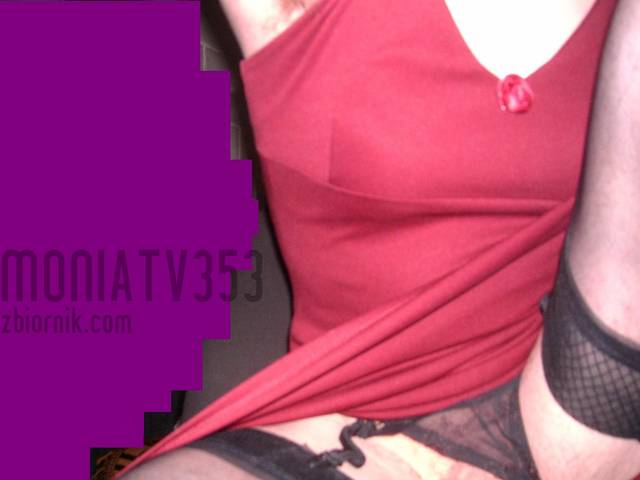 Moniatv353