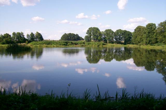 tabletusiaiproszek