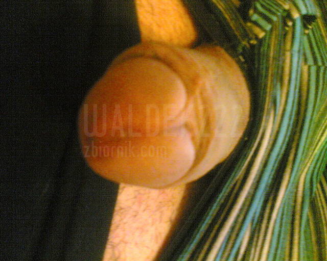 waldek222