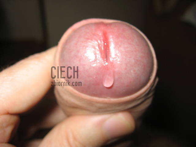 ciech