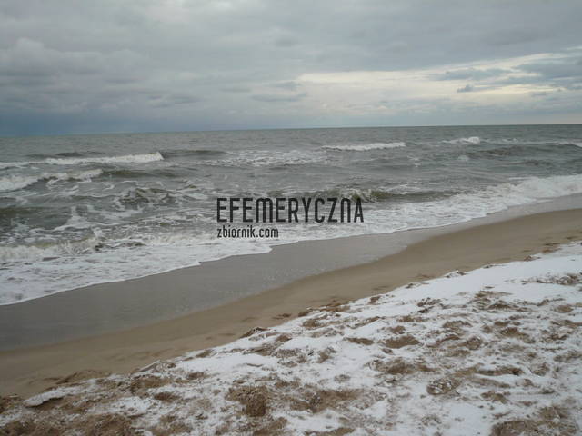 efemeryczna