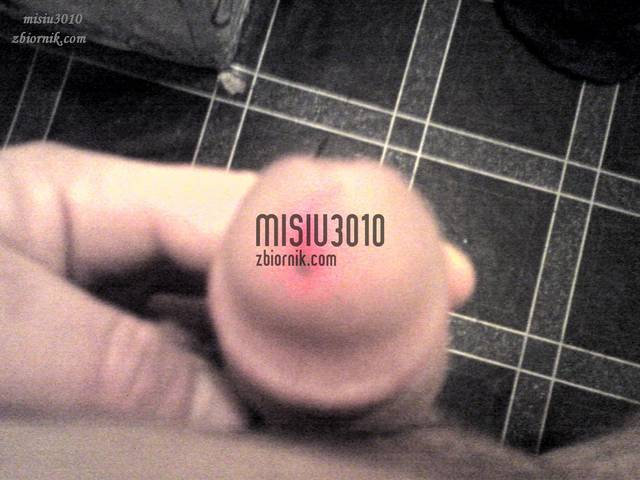 misiu3010