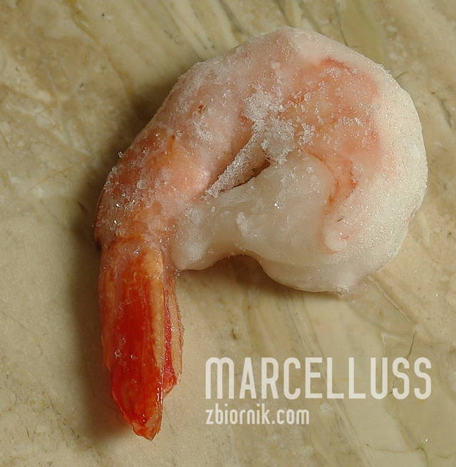 Marcelluss