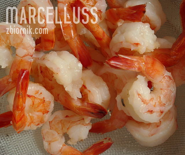Marcelluss