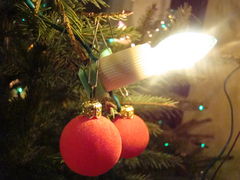 DSC03460.JPG