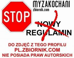 Protest