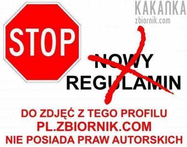 kakanka