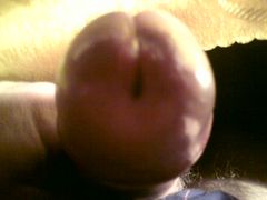 DSC00041.jpg