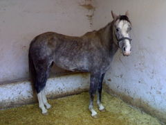 04012007231.jpg