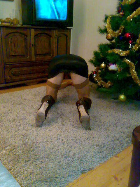 20100115527.jpg - Trans1