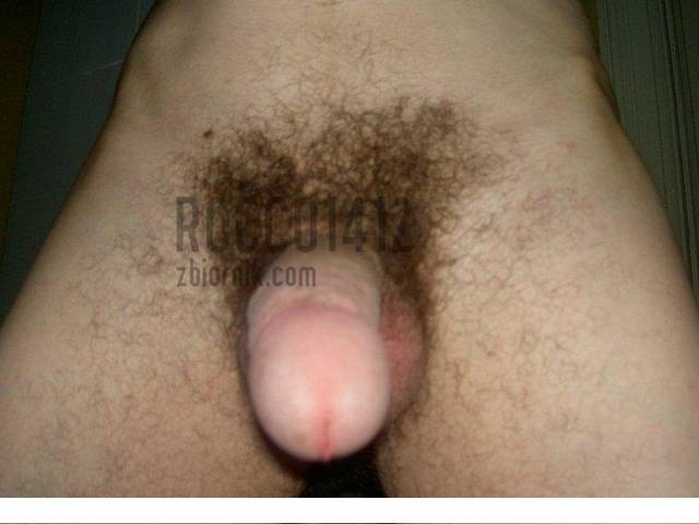 big_e869c9d5db3012e83f8ff0f82409c2f0.jpg - rocco1412