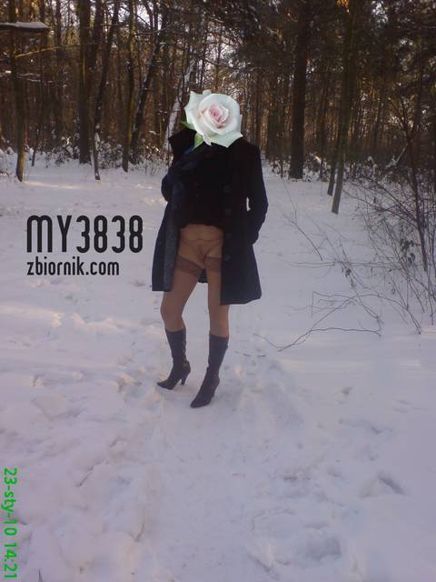 1 - My3838