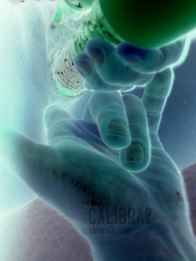 calibra2