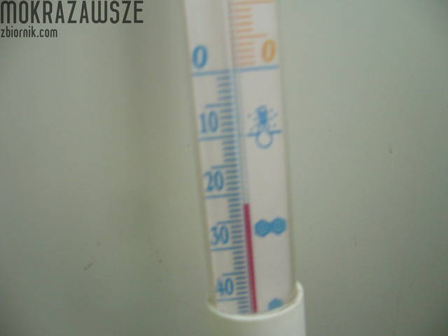 mróz - mokrazawsze
