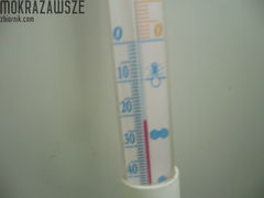 mróz
