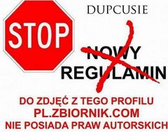 prawa autorskie.jpg