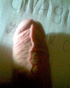 Obraz 015.jpg