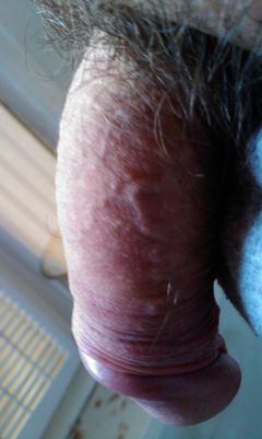 IMAG0468.jpg