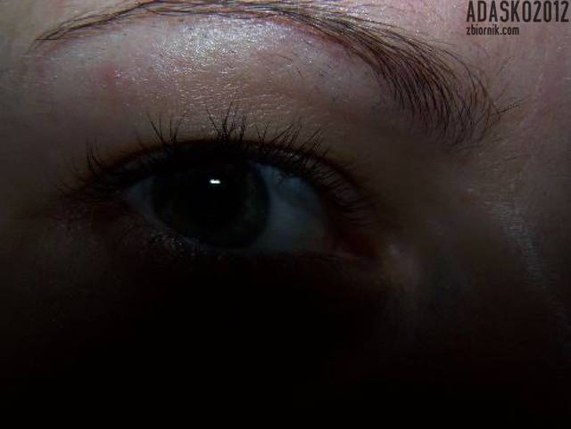 Adasko2012