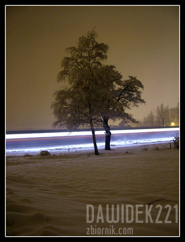 dawidek221