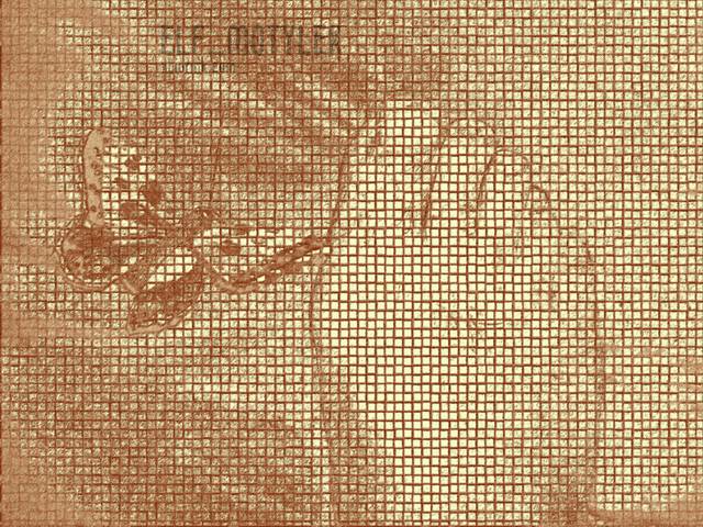 relaks - elf_motylek