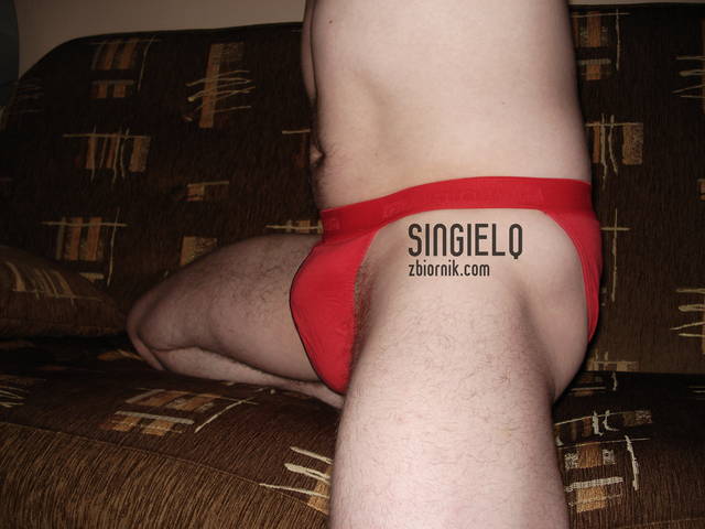 singielq