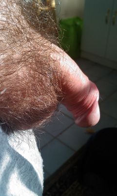 IMAG0525.jpg