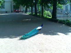 Spacer...