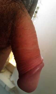 IMAG0529.jpg