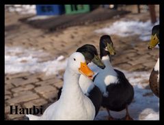Zbiornikowe znajomosci .... umawiamy sie na GB