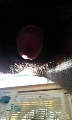 IMAG0532.jpg