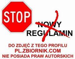 prawa autorskie