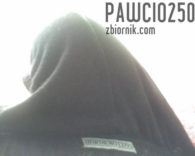 pawcio250