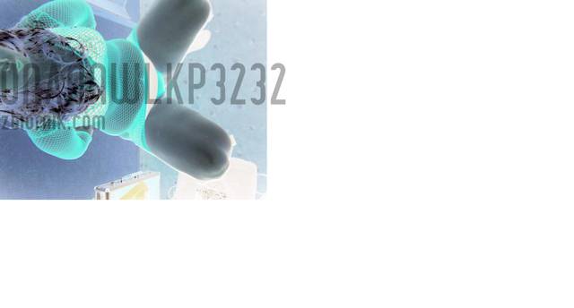 onaonwlkp3232