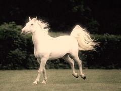 001m051XlB1a.jpg