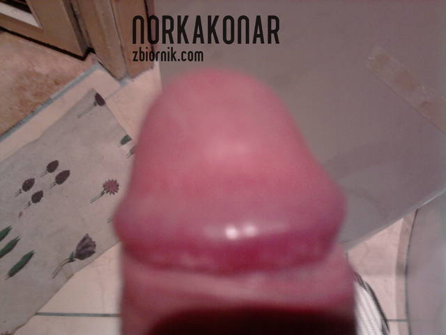 Zdjęcie0349.jpg - norkakonar