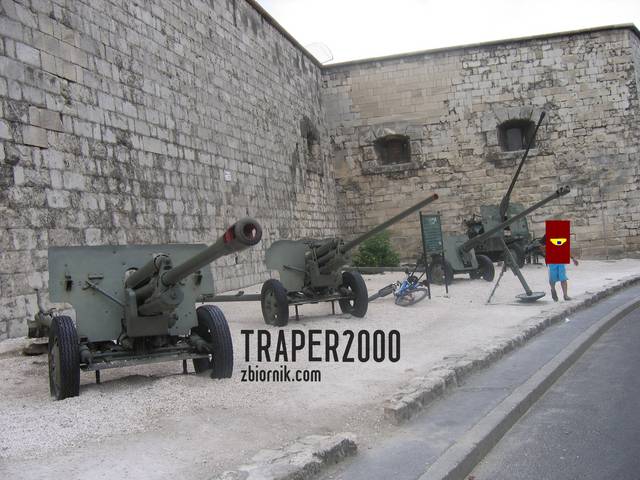 wytaczam działa;) - traper2000