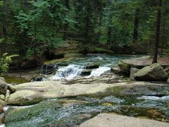 DSC02592.jpg