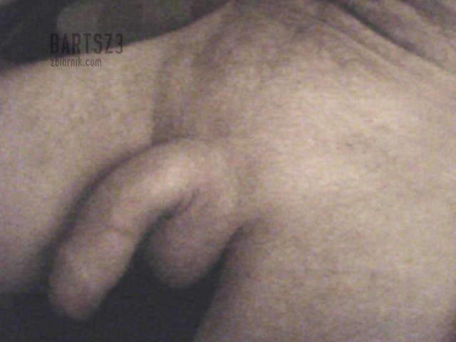 bartsz3