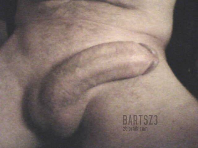 bartsz3