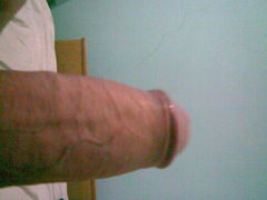 penis